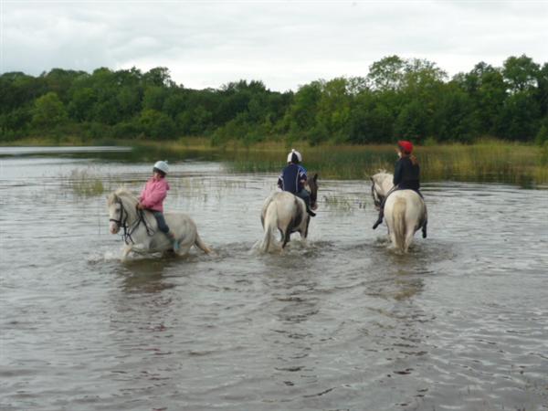Athlone Equestrian Centre day out